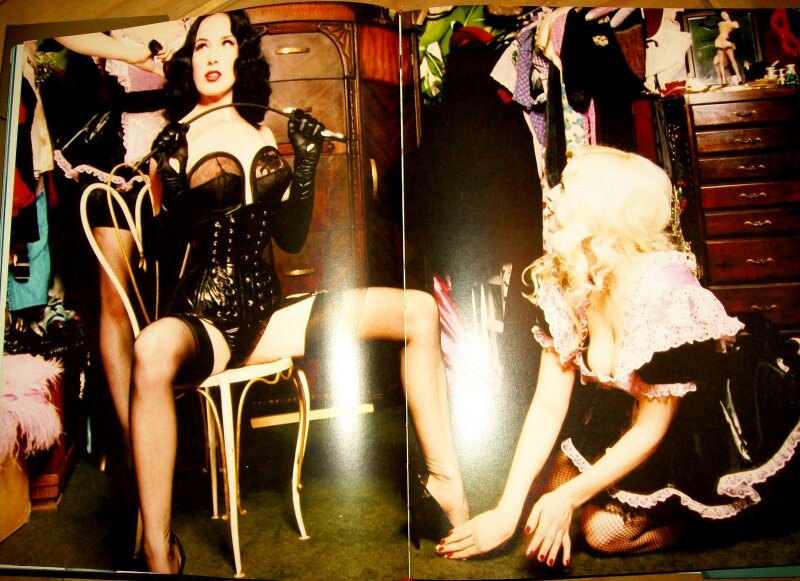 Fetish and the Art of the Teese by Dita Von Teese picture