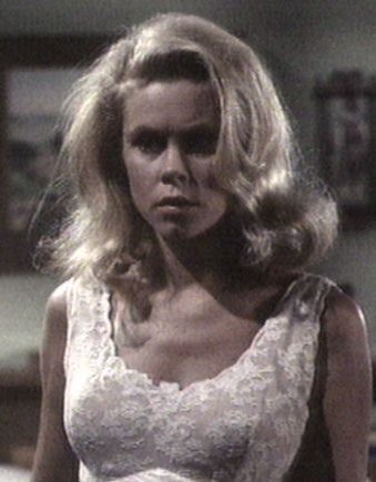 Past celebrity hottie Elizabeth Montgomery picture