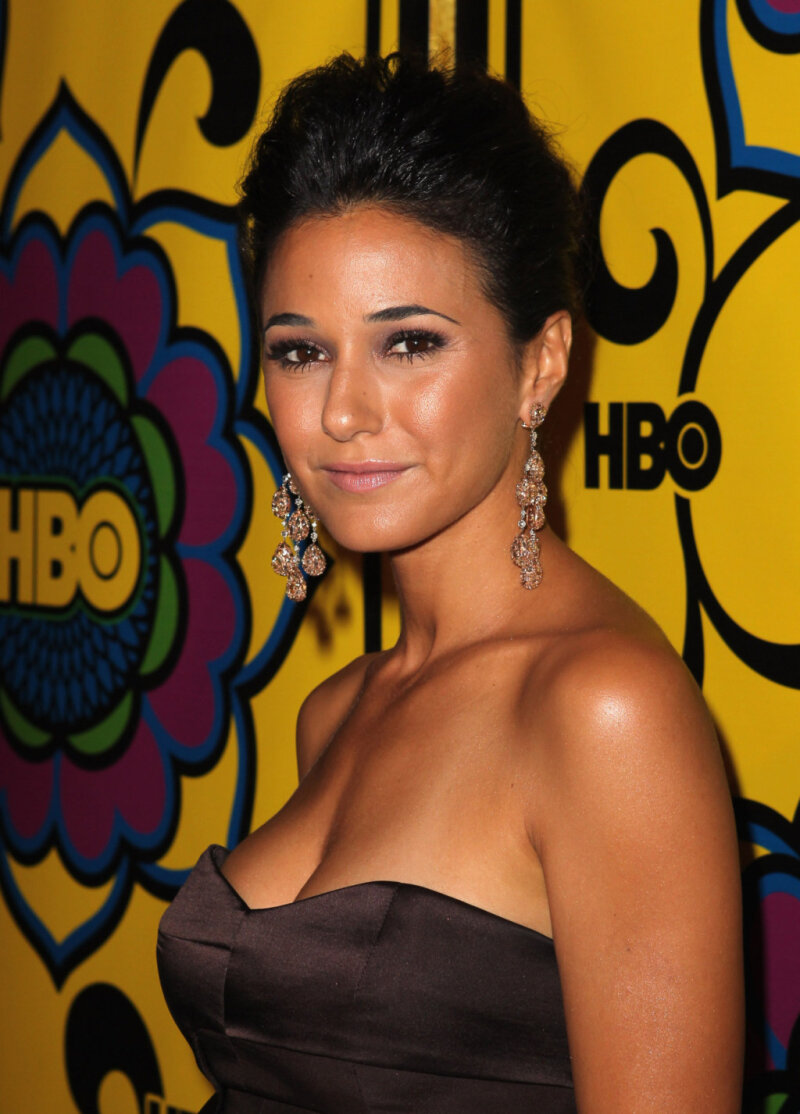 Emmanuelle Chriqui picture