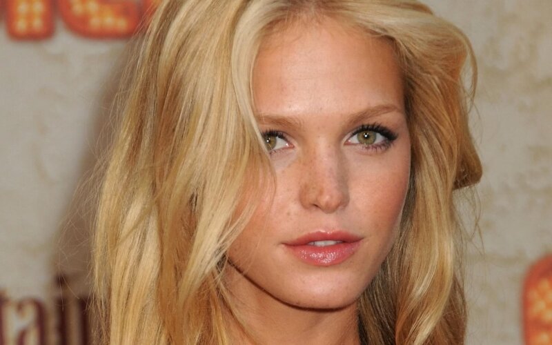 Erin Heatherton picture