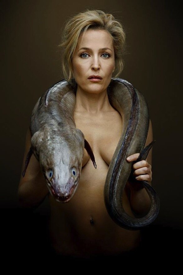 GILLIAN ANDERSON picture