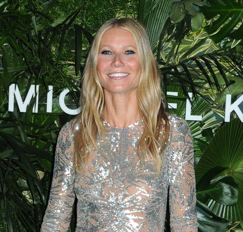 Gwyneth Paltrow Nipples in See Through Lacy Gown picture
