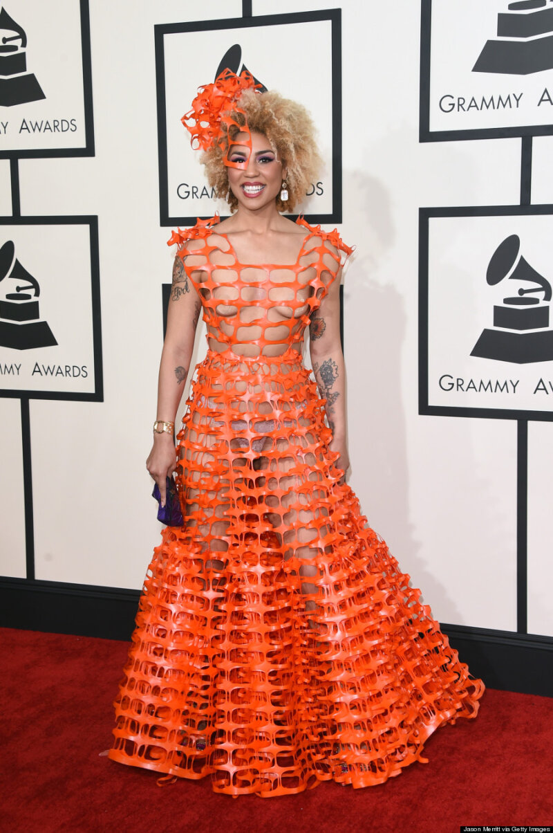 Joy Villa at the Grammys in a dress made of snow fencing picture