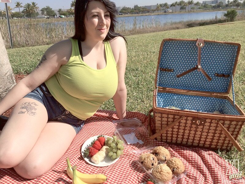 Picnic In The Park picture