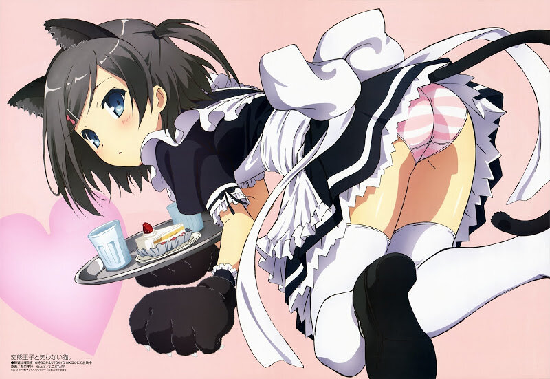 Maid Neko picture