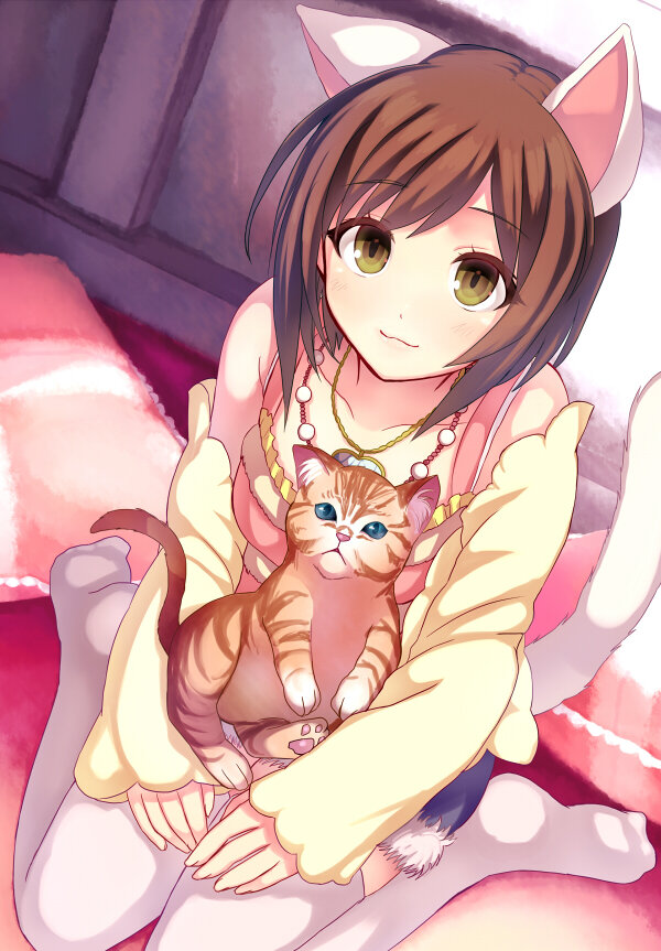 Neko and Cat picture