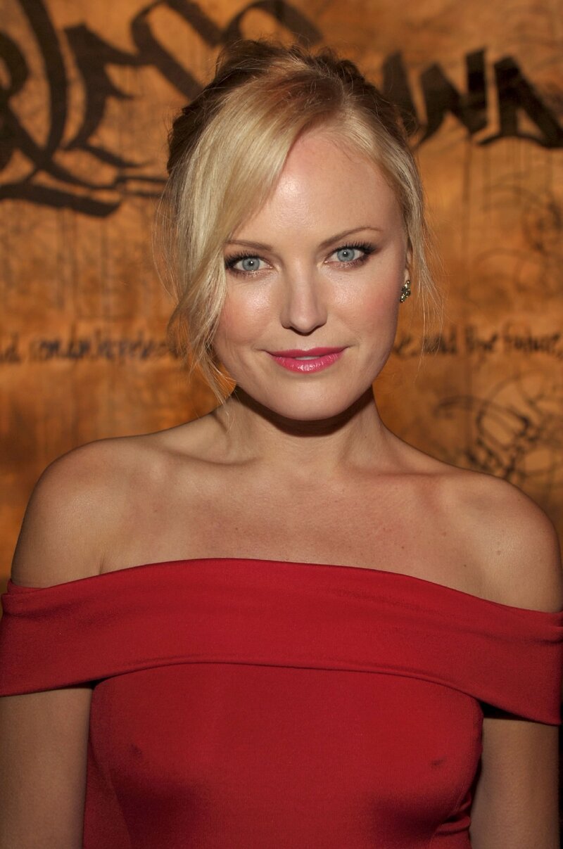 Malin Akerman picture