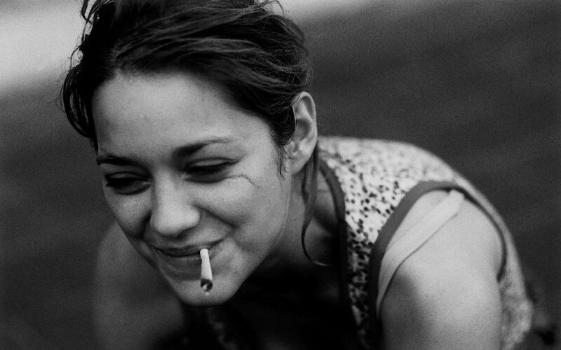 Marion Cotillard picture