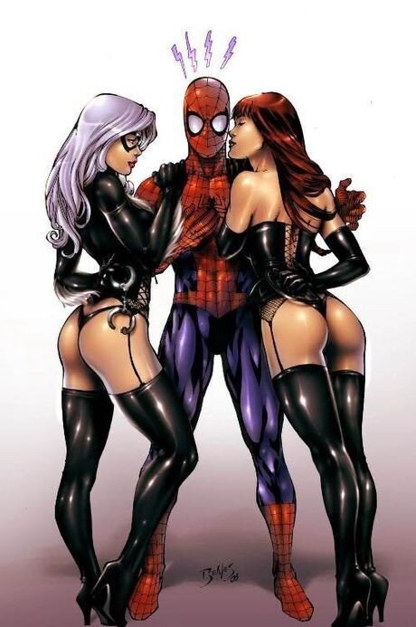 SpiderMan, BlackCat, & Mary Jane Threesome picture