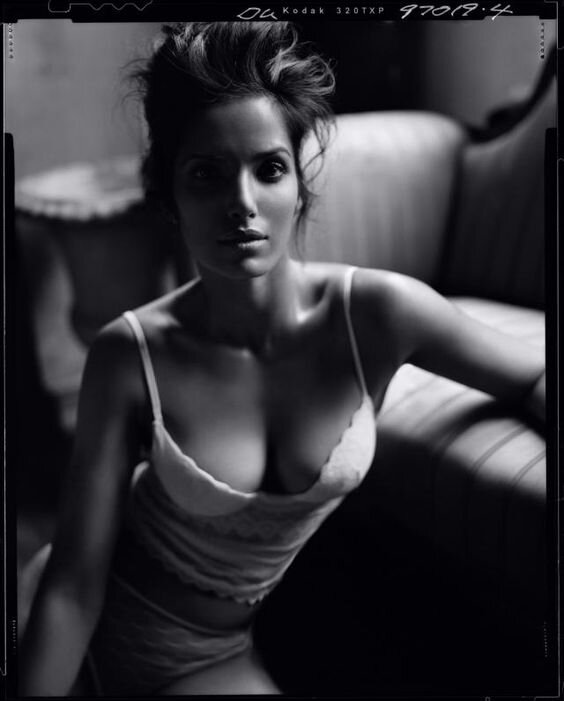 padma lakshmi by helmut newton picture