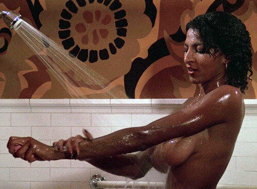 Pam Grier picture