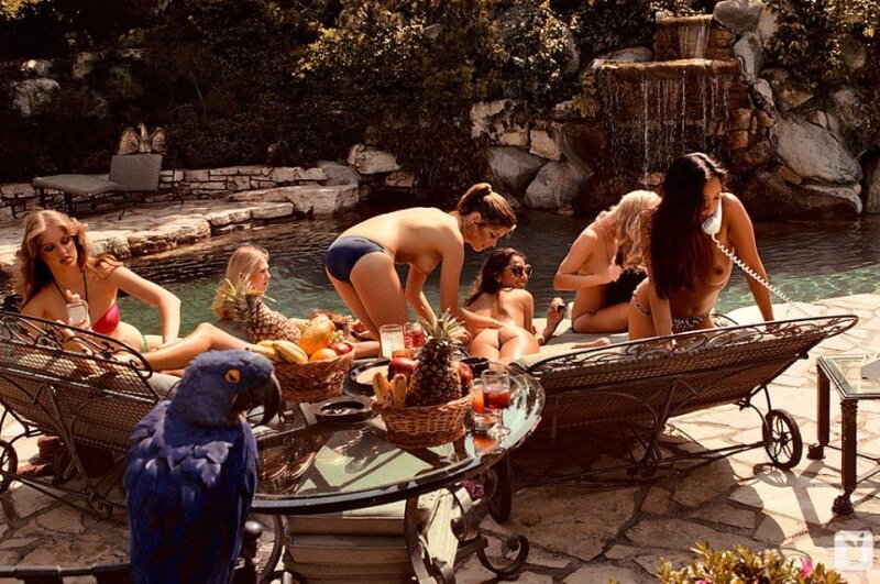Patti McGuire In A Naughty Pool Party - diorama picture