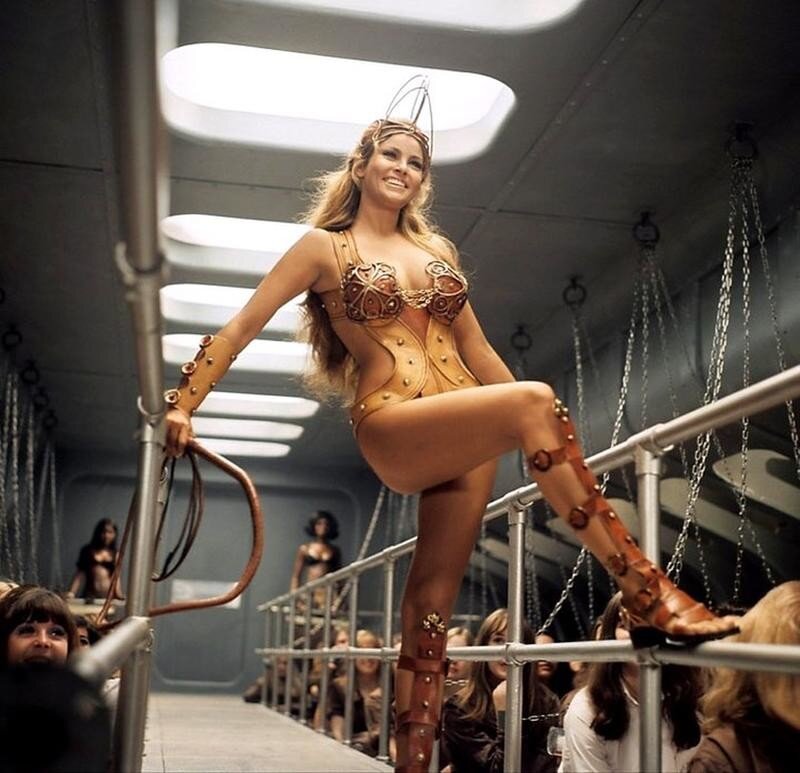 Raquel Welch picture