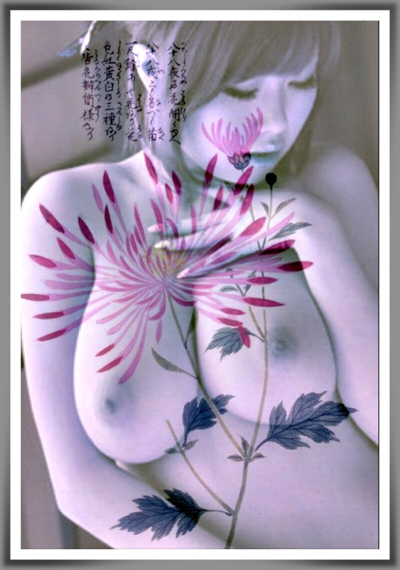 Rio Hamasaki purple flower fantasy. Artistic big beautiful boobs. Shy pose. Japanese art motif. picture