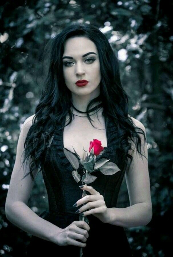 Red Rose picture