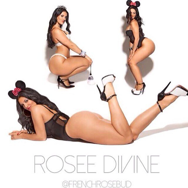 ROSEE DIVINE 16 picture