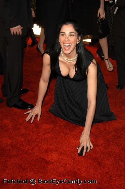 sarah silverman on the floor picture