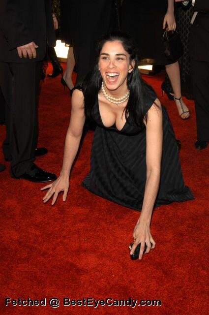 sarah silverman on the floor picture