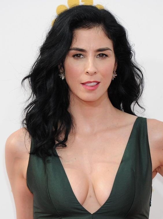 Sarah Silverman comedian actress is a raven hottie picture