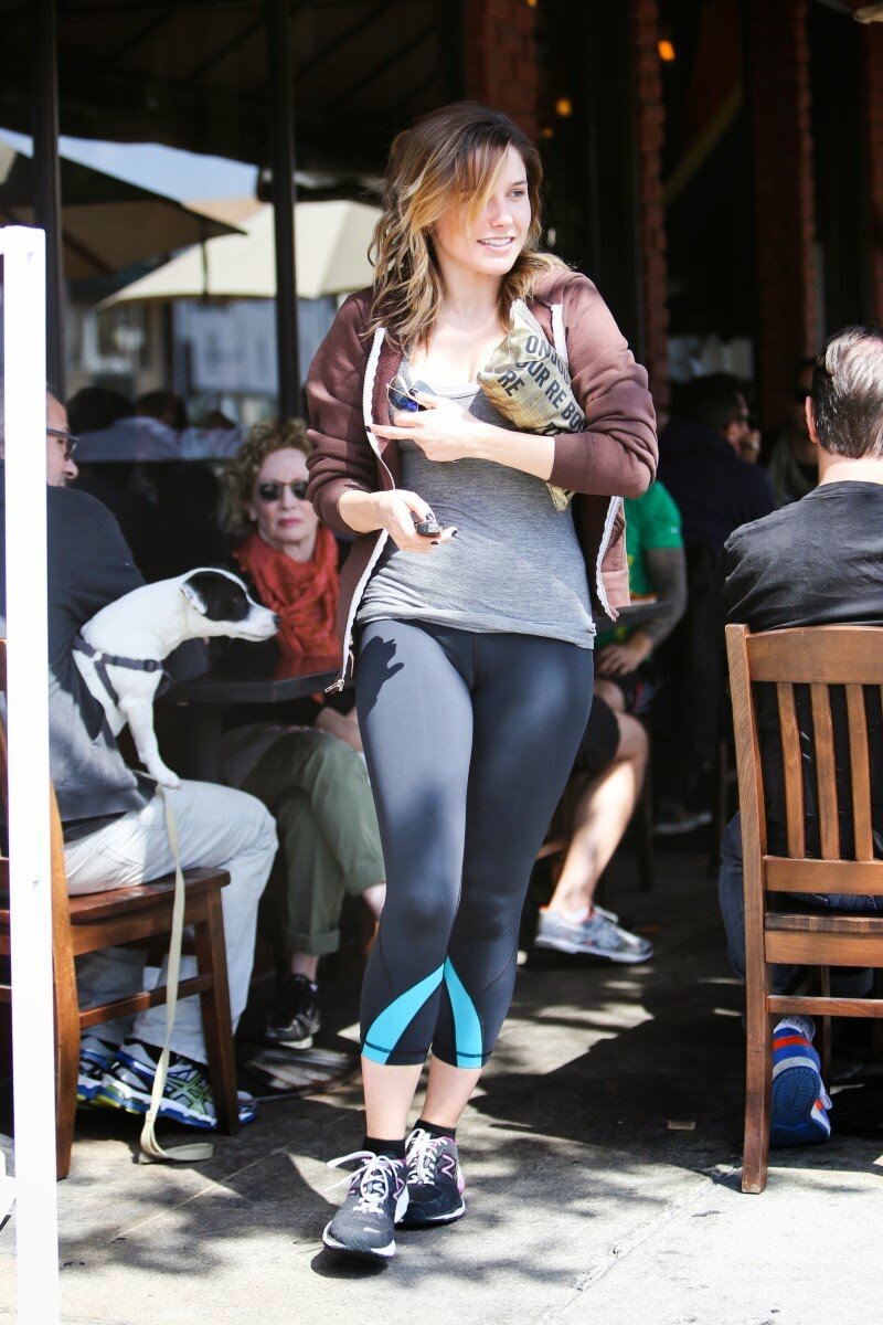 Sophia Bush Massive Cameltoe At King’s Road Cafe In West Hollywood picture