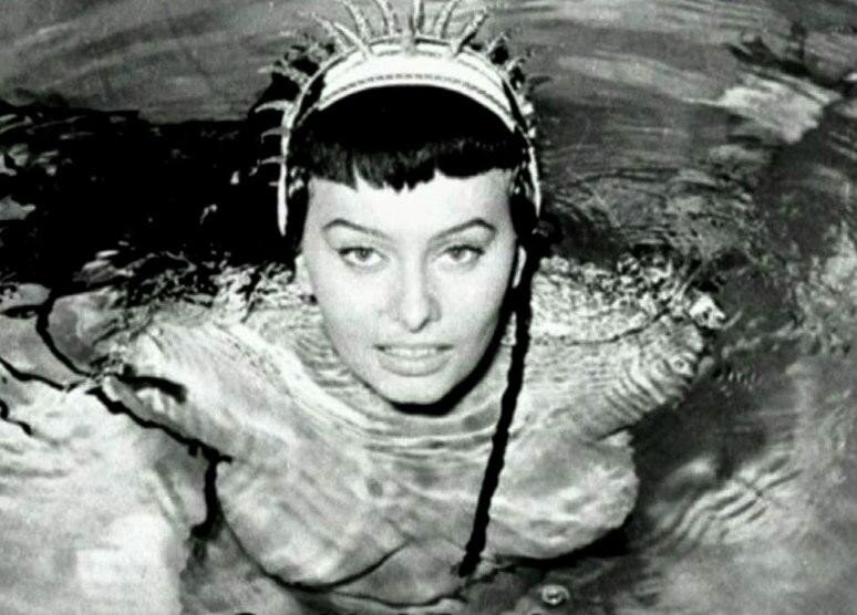 Sophia Loren picture