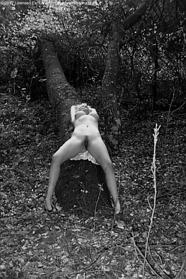 Vintage Nude Zoe Zane 280 Freeway Photo CA USA picture