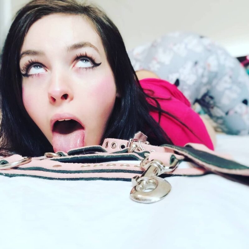 Şafak Söğüt picture