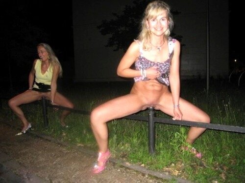drunk fucking a fencepost in public picture
