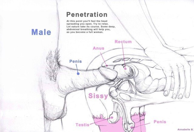 How a cock feels in your ass picture