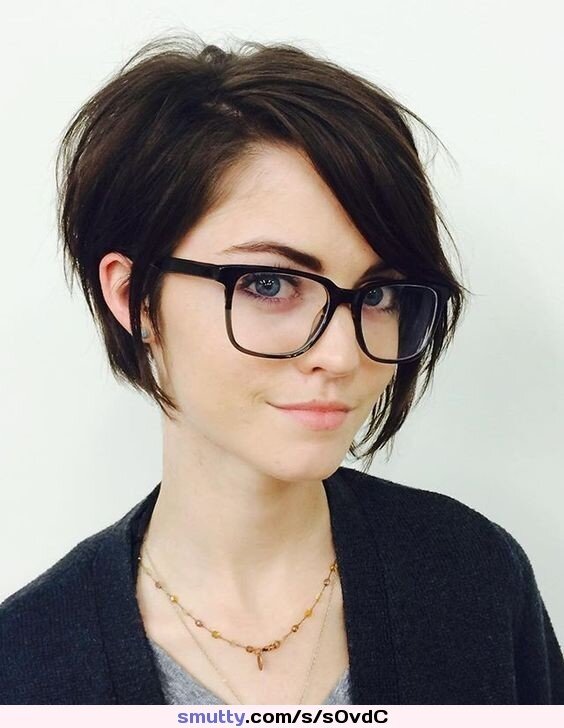 shorthair picture