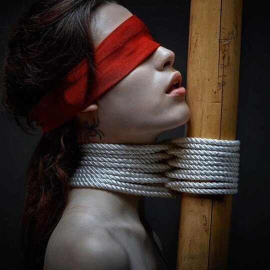 Bound picture