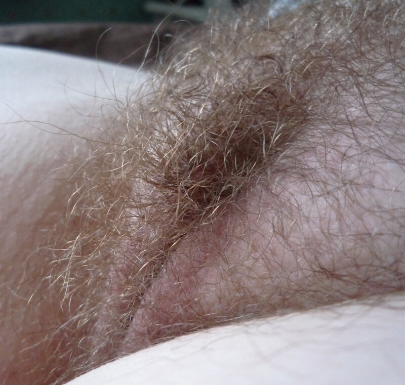 Hairy Pussy picture