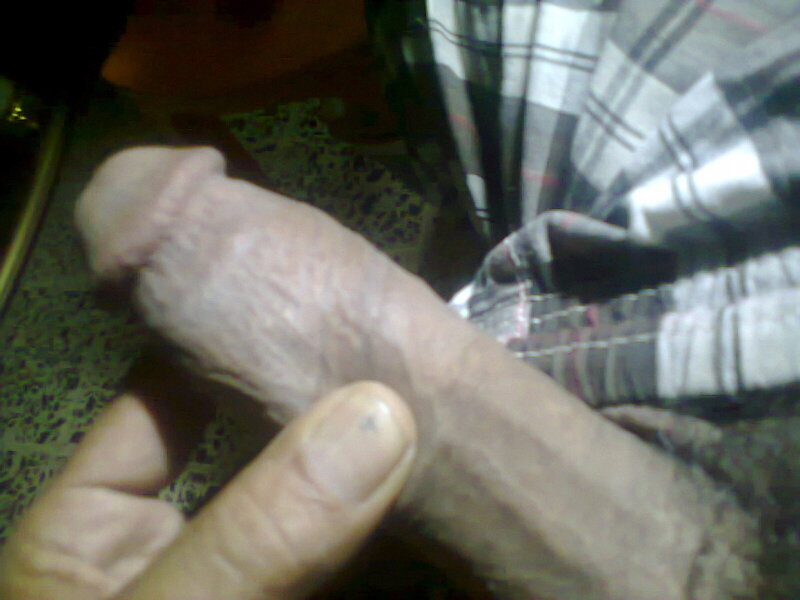 我性感的公鸡喜欢各种猫 picture