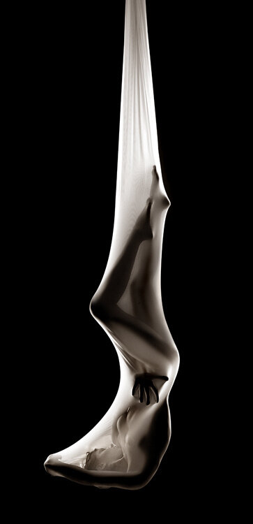 Sonsuz esaret içinde askıya alındı picture