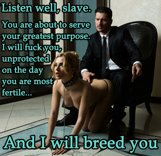 I will breed you, Slave picture