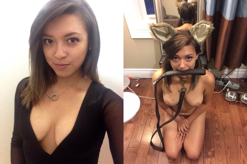 性感的宠物 picture