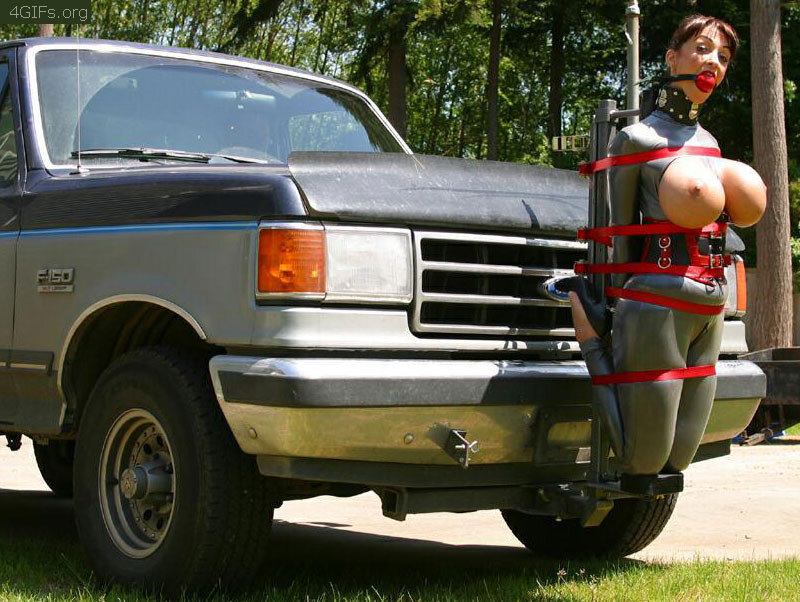 Hood Ornament picture