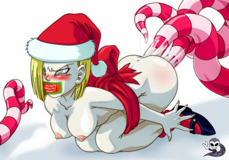 Dragon Ball- # 18-이런 종류의 크리스마스 선물을 원하십니까? picture