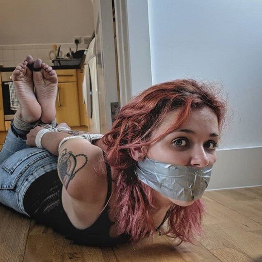 Hogtied picture