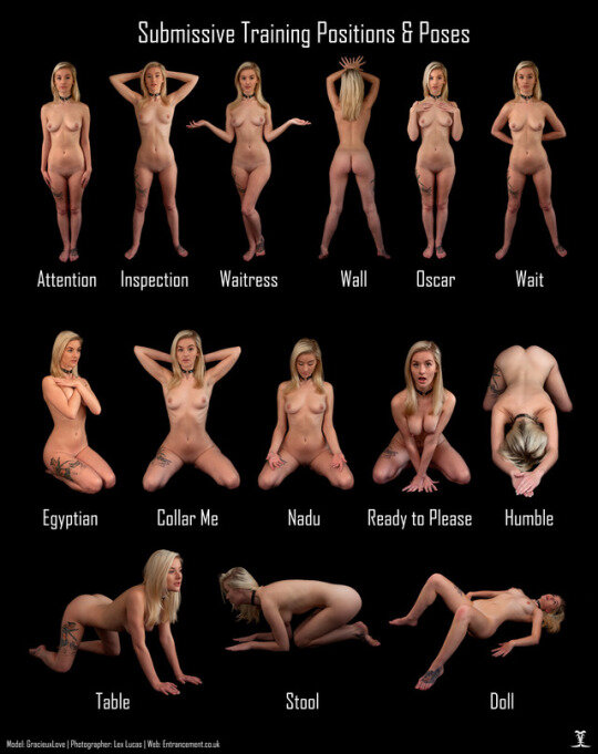 MM - Submissive Training Positions picture
