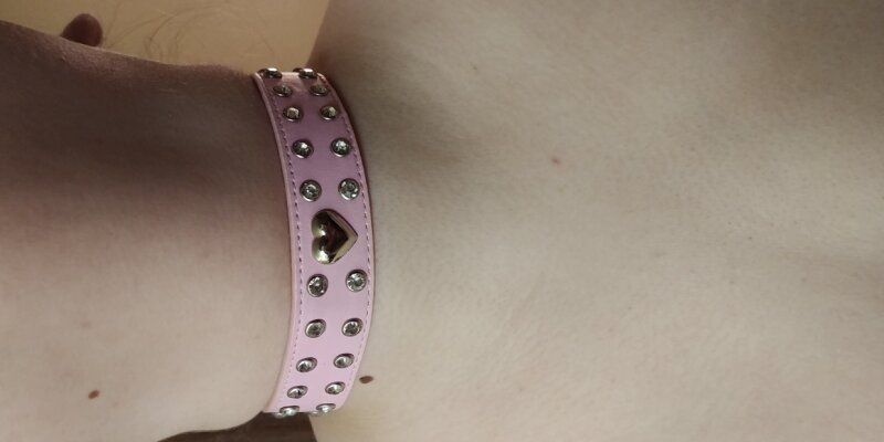 Kedi Yakasını Seviyor ❤ picture