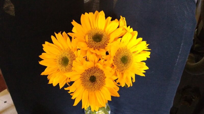 seksi sarışın ile bir inanılmaz göt picture