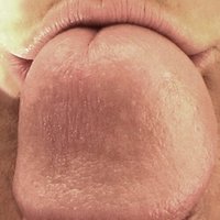  Blowjob Close Up Kiss  pics
