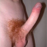  Gay Hairy Penis  pics