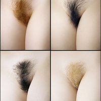  Cunt Hairy Pussy Pussies  pics