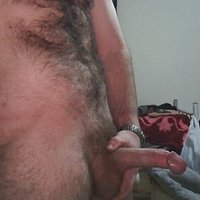  Amateur Hairy Penis  pics