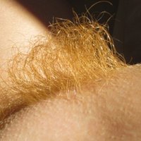  Blonde Hairy Pussy  pics