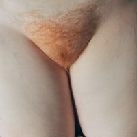  Amateur Hairy Pussy  pics