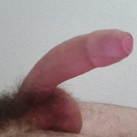  Hairy Penis Self Shot  pics