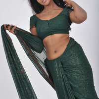  Brunette Indian Saree  pics
